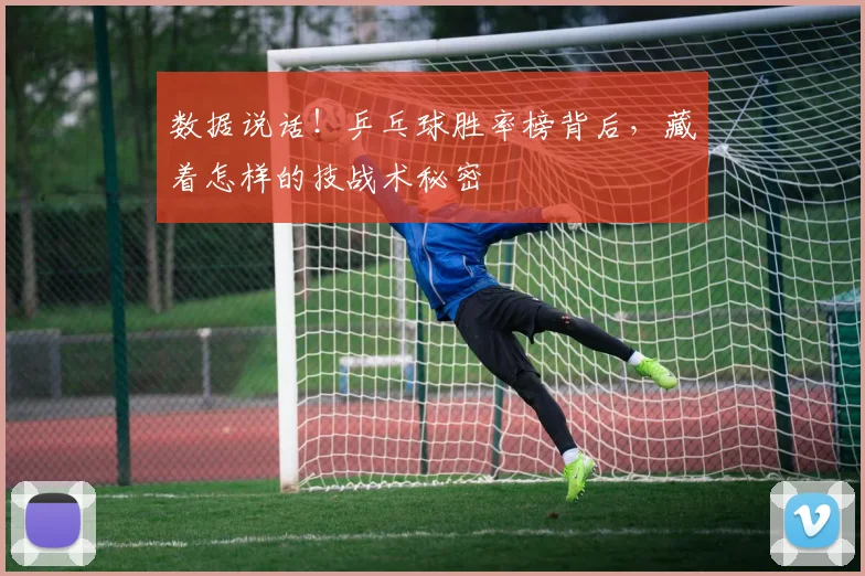 数据说话！乒乓球胜率榜背后，藏着怎样的技战术秘密