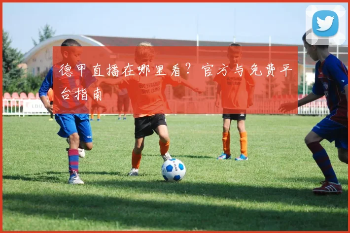 德甲直播在哪里看?官方与免费平台指南