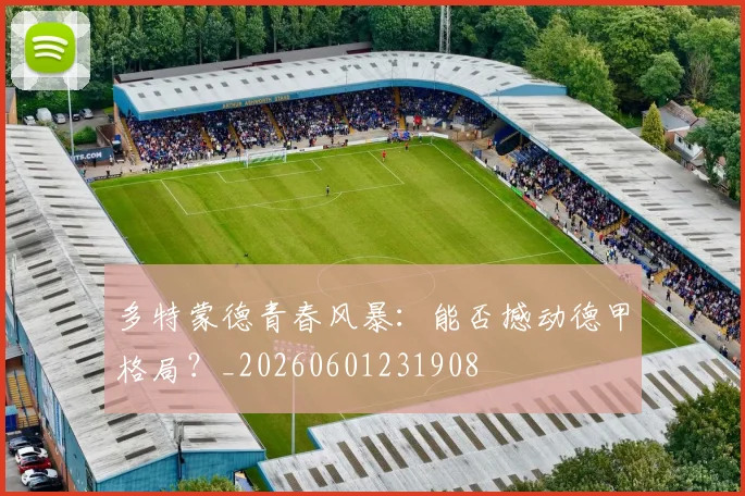 多特蒙德青春风暴：能否撼动德甲格局？_20260601231908